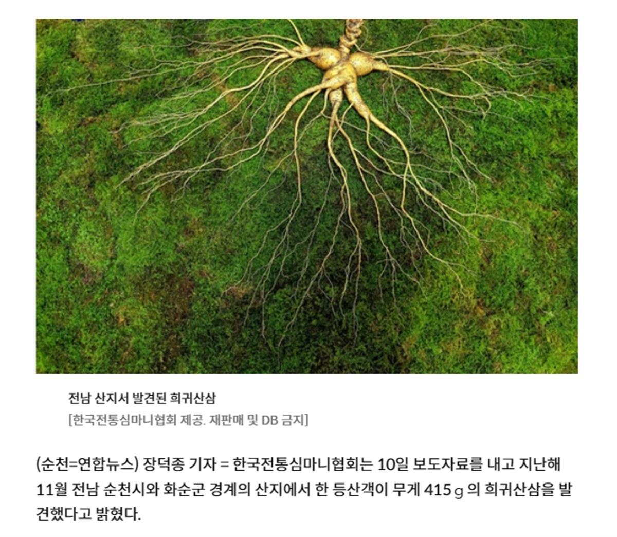 35ac040516f934a7127372865f5299ab.jpeg