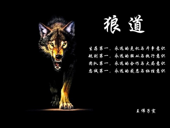 孤独狼图片头像凶猛霸气冷酷_孤独的狼图片_孤独狼图片霸气图