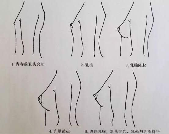 乳乱_乳乱_乳乱