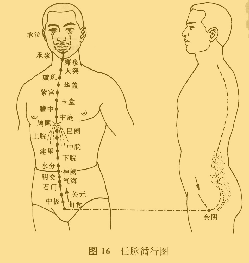 脉率多少算正常范围_脉压差正常范围_绝脉