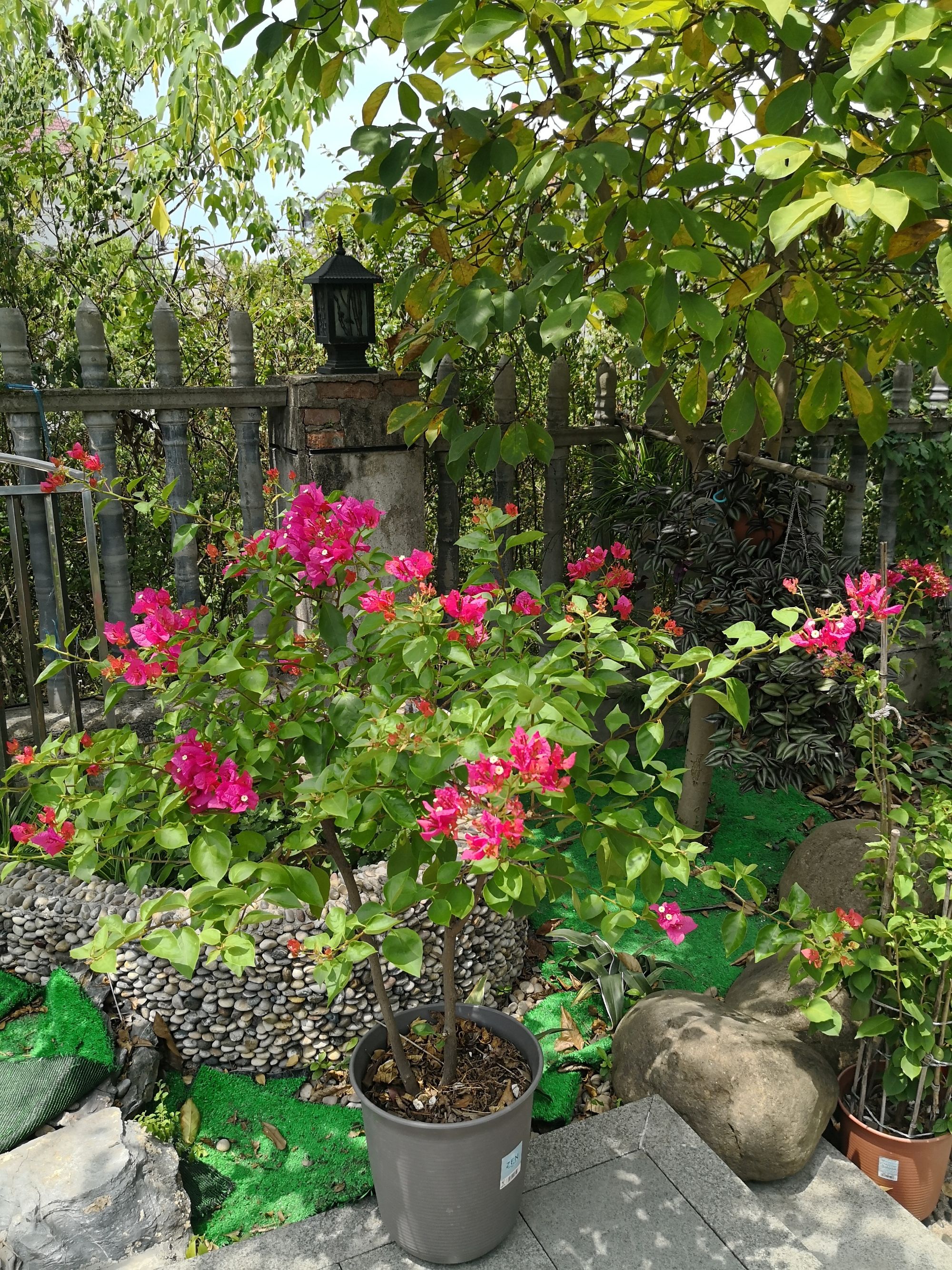 仲夏庭院怎么过_仲夏庭院怎么过_仲夏庭院怎么过