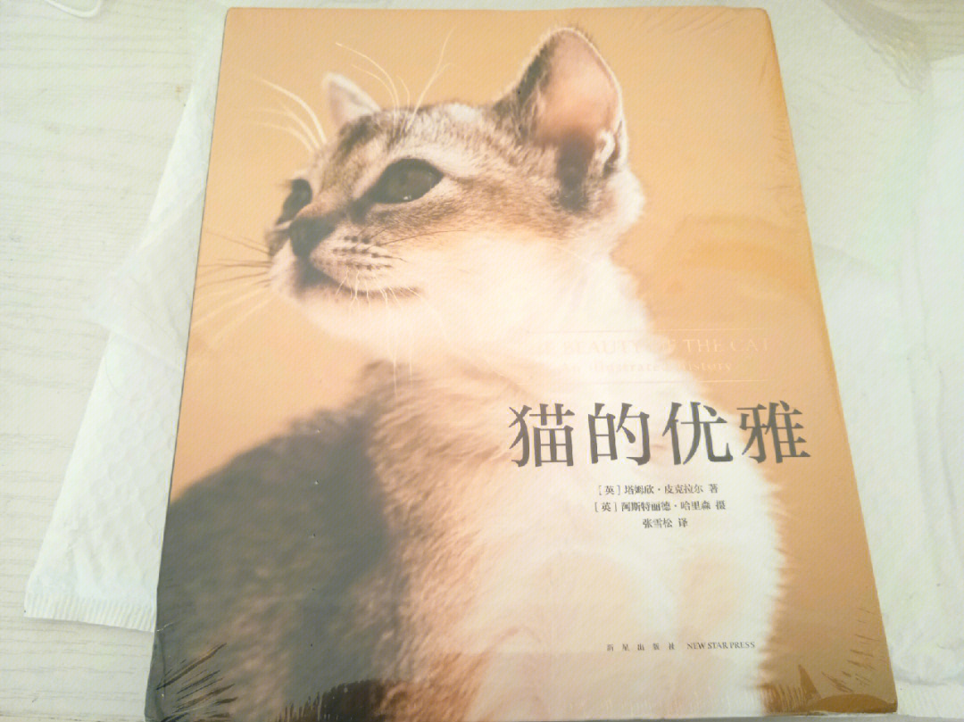勒克猫_勒克猫_勒克猫
