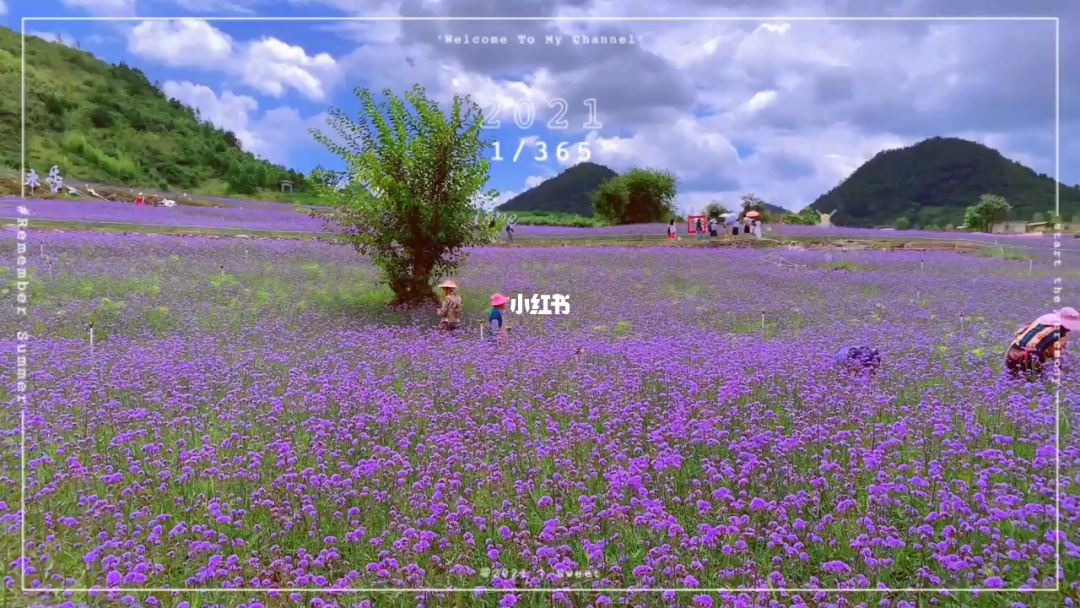 灵虚子_虚灵子是神仙吗_凡人修仙传虚灵子