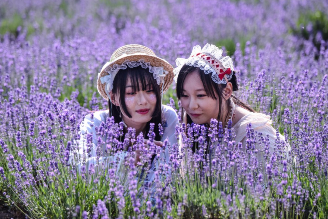灵虚子_虚灵子是神仙吗_凡人修仙传虚灵子