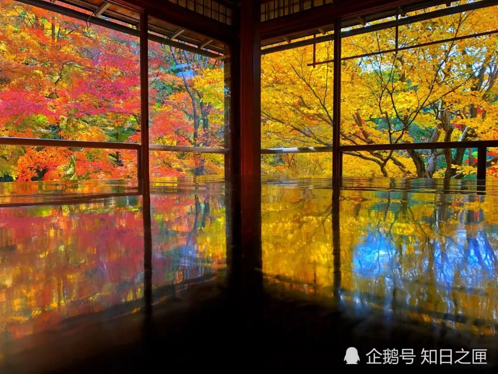 原神石板柴门二郎在哪_原神财门二郎的石板_原神柴门二郎石板位置