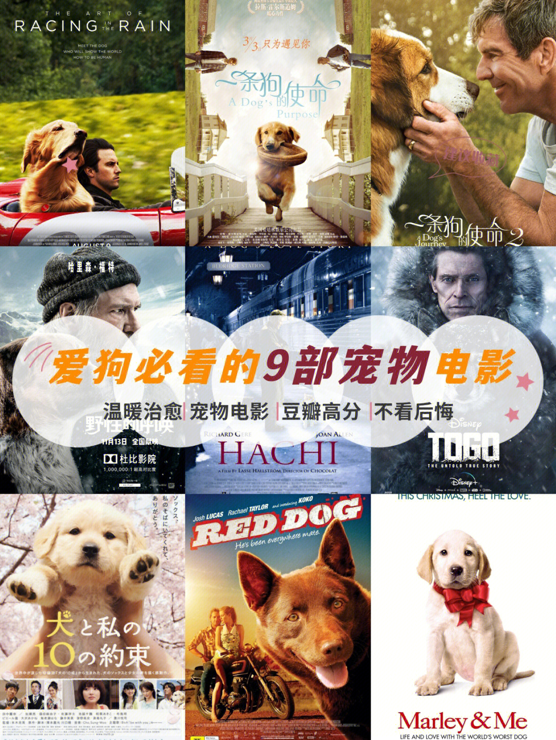 狗影网_狗影网_狗影网