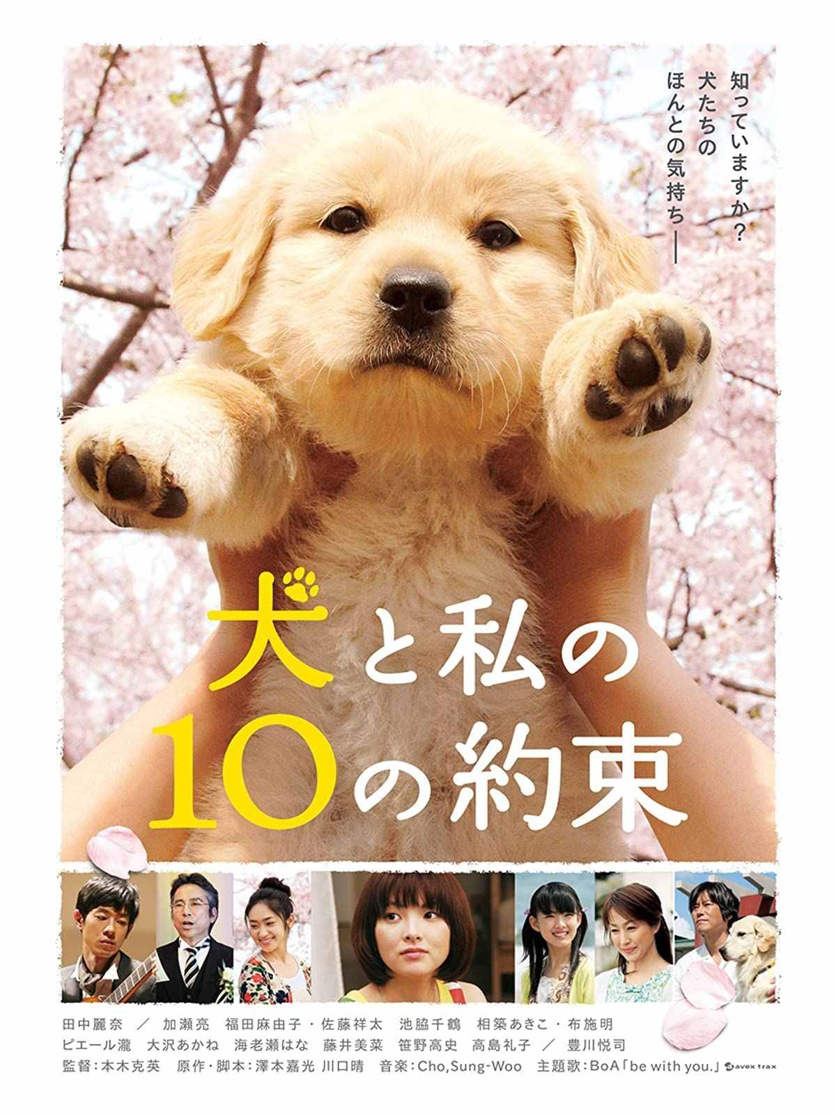 狗影网_狗影网_狗影网