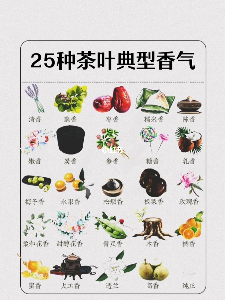 茶队微博Dota2_茶队_茶队最新消息