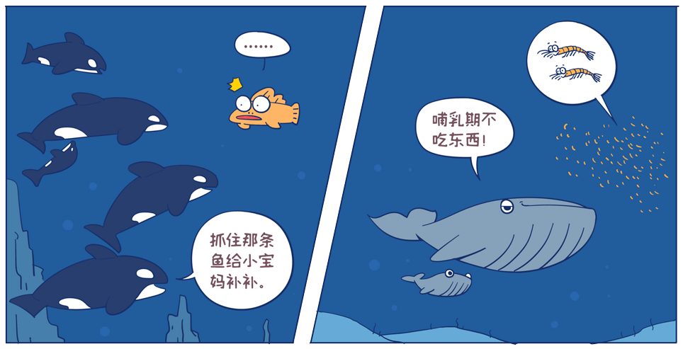 爱漫之家_爱漫之家_爱漫之家