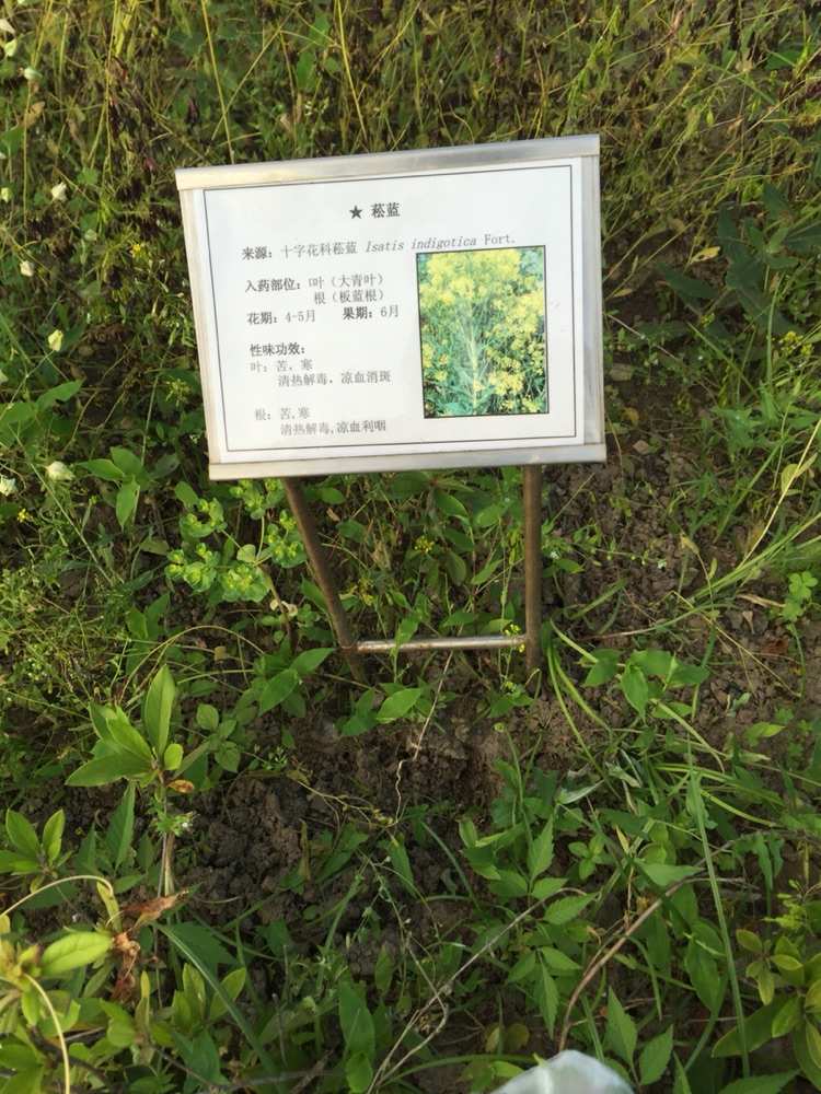 下载神农百草园游戏手机版_神农百草治什么病_神农百草园在哪里