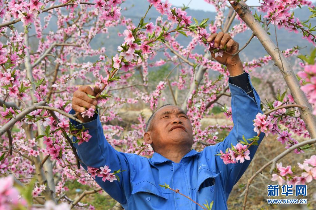 桃花生活游戏苹果手机下载_桃花生活游戏苹果手机下载_桃花生活游戏苹果手机下载