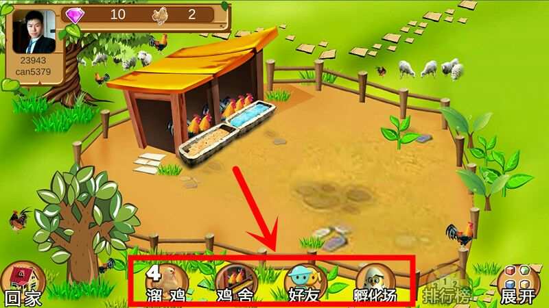 小鸡训练手机游戏怎么玩_小鸡养成游戏_训练小鸡手机游戏