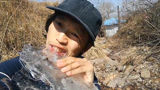 野外求生类单机游戏_野外求生类手机游戏推荐_野外求生类手机游戏