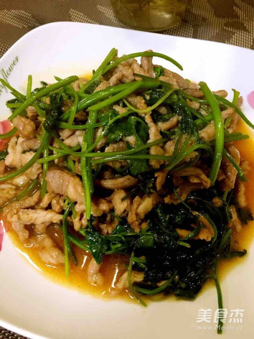 小林香菜奥特曼传奇_小林香菜_小林香菜艺名