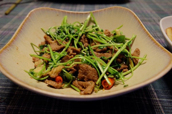 小林香菜艺名_小林香菜_小林香菜奥特曼传奇