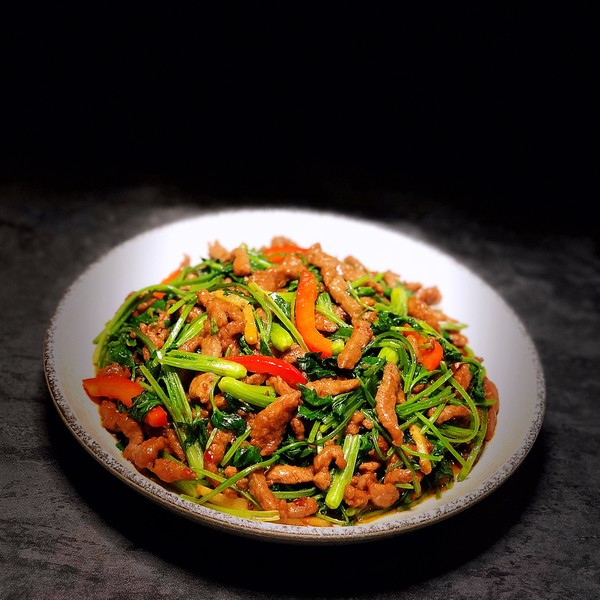 小林香菜艺名_小林香菜_小林香菜奥特曼传奇