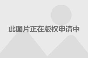 激情速度6票房是多少_速度与激情10电影下载_电影激情速度下载百度云