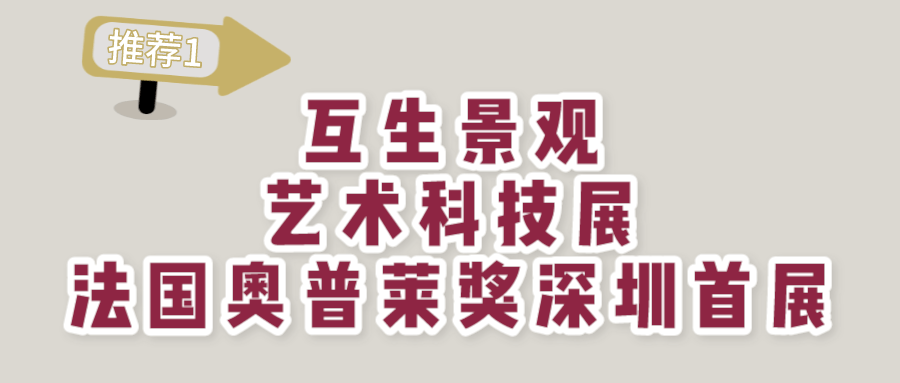 内双怎么变外双知乎_岭内知美_知内町