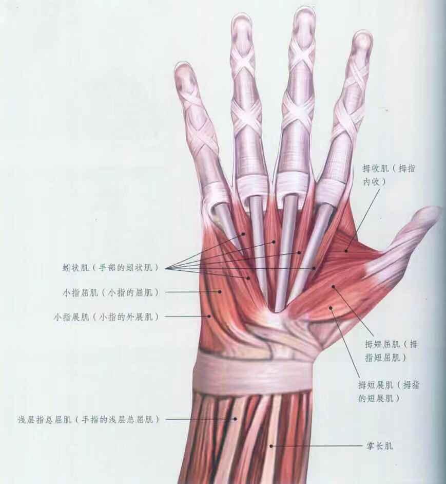 操作重复手机游戏有哪些_手机重复游戏操作_游戏重复操作脚本
