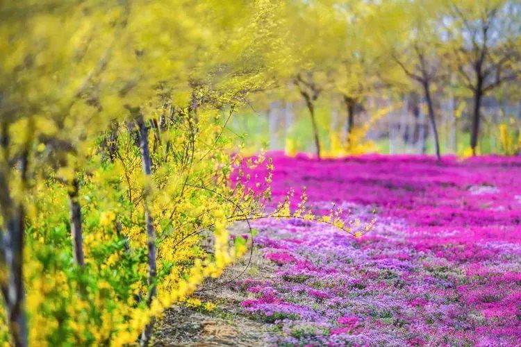 3.20日是什么日子_3.20日是什么日子_日子是什么意思