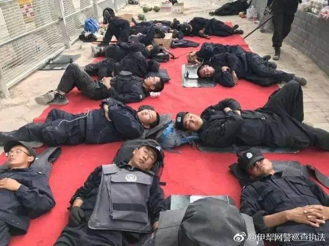 星火解说推荐手游警察_星火解说警车游戏_星火解说当警察的手机游戏