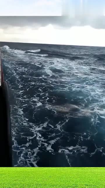 死库水是什么_死库水是_西瓜妹死库水
