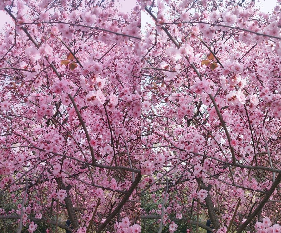 蜜桃女孩_蜜桃女孩_蜜桃女孩