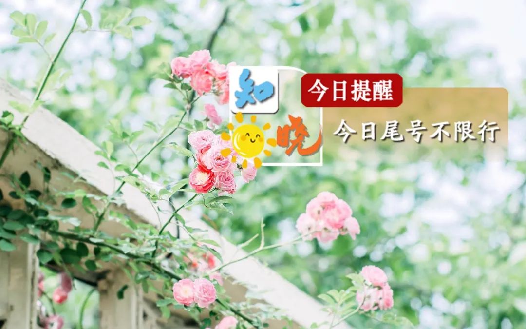 制发人身安全保护令人件_先发制人_制发人是什么意思