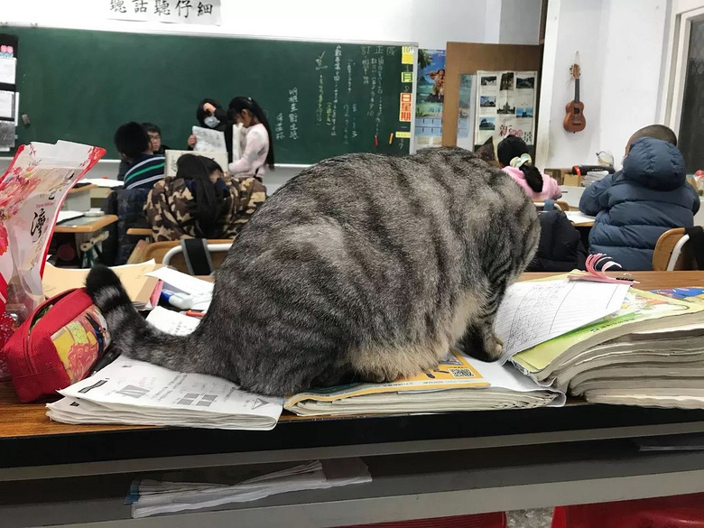 雨后小故事表情包_qq表情小雨后的故事_雨后表情包故事小视频