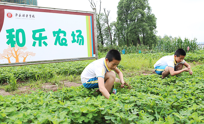 农业农场游戏_手机农场经营游戏_兴业农场游戏手机