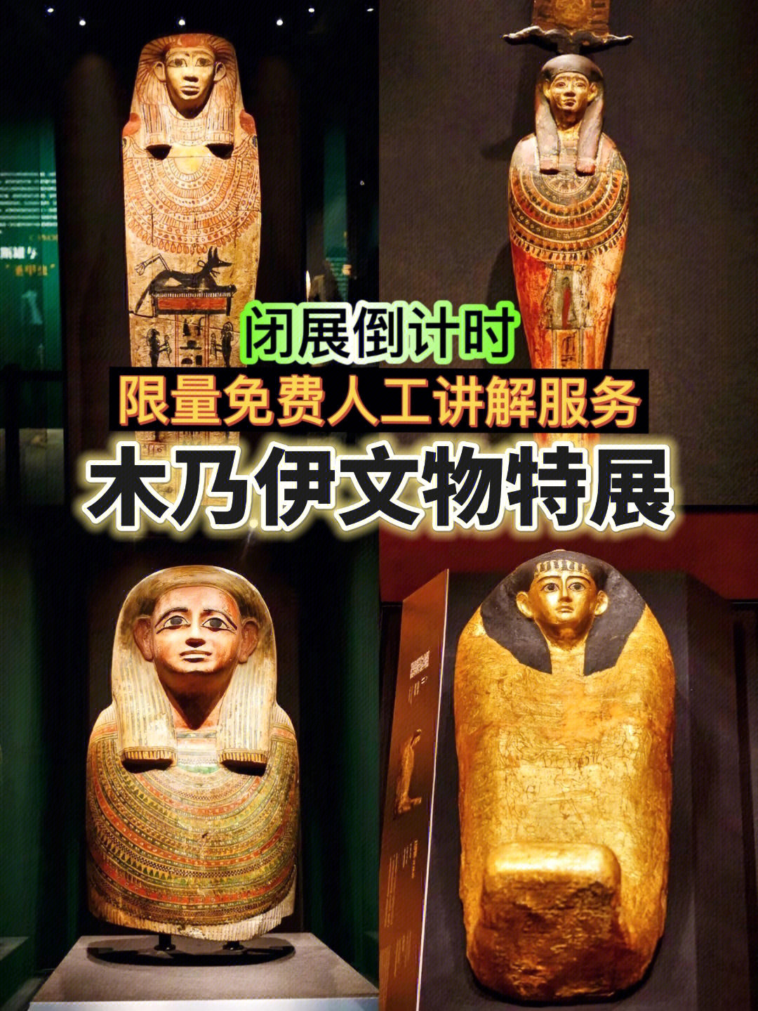 法老控_法老控_法老控