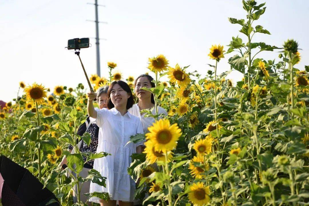 四月二十二日_四月二十二日_四月二十二日