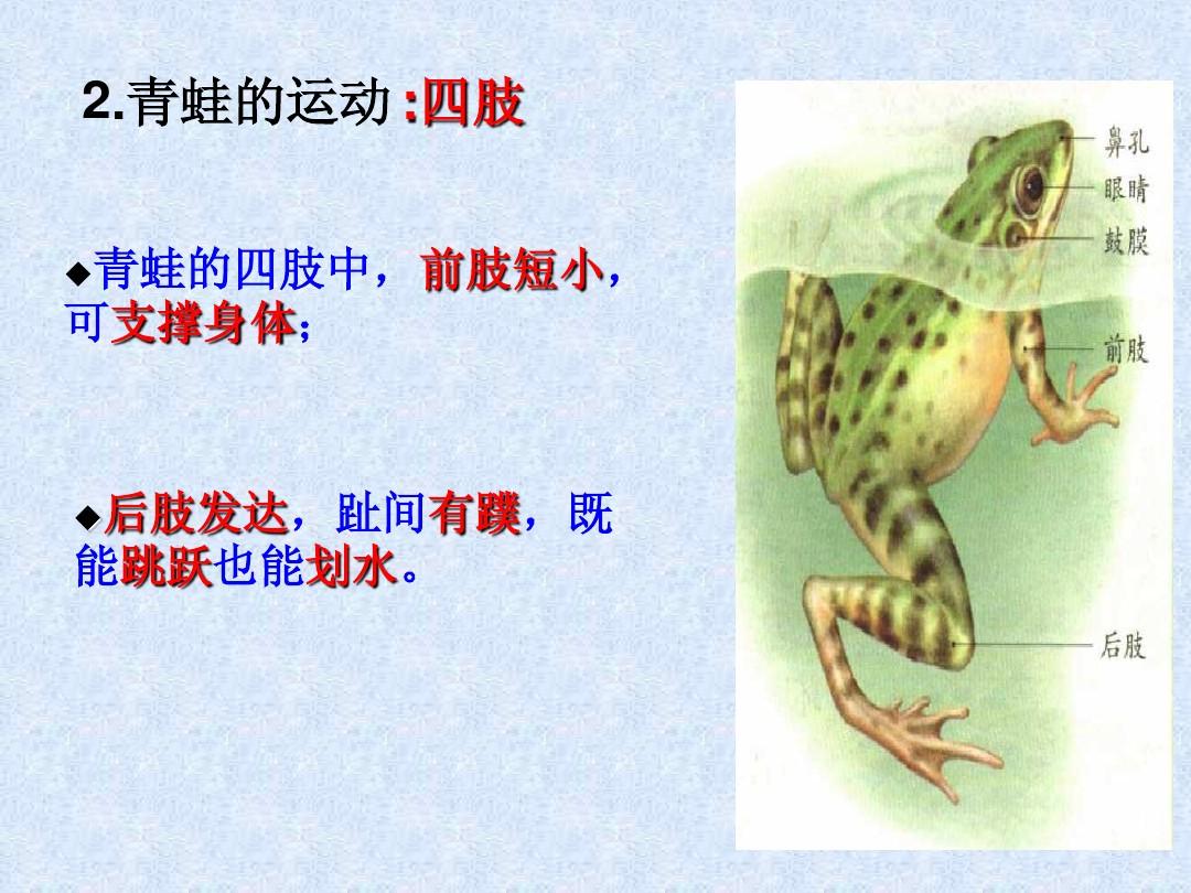 小跳蛙手机游戏_小跳蛙是什么软件_小跳蛙游戏玩法