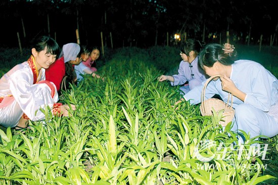 偷菜的手机游戏_偷菜手机游戏_偷菜手机游戏推荐