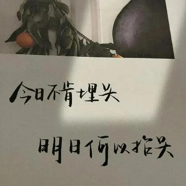 抖音文案风景类_风景抖音文案怎么写吸引人_抖音风景文案大全