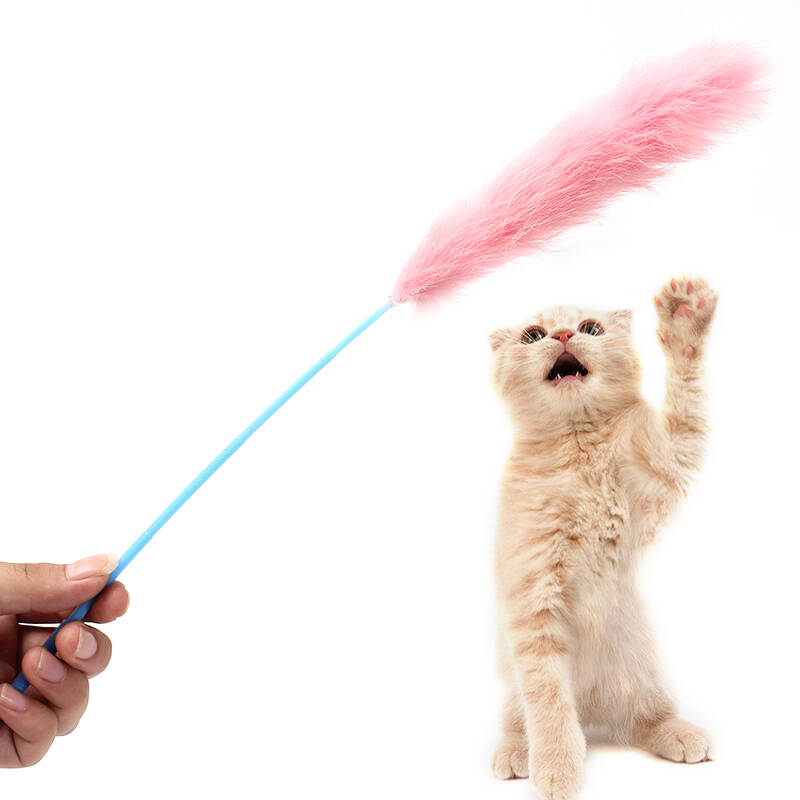 儿童猫猫游戏_下载猫咪游戏儿童手机游戏_游戏猫咪游戏