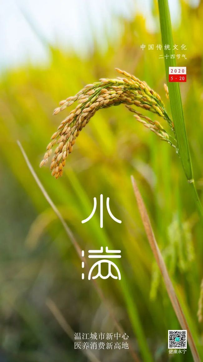 2022年二十四节气_2022年亚运会_节气年月