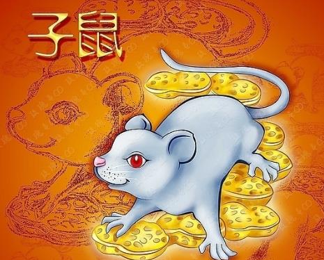 2000年属什么生肖_生肖属年份_生肖属年纪