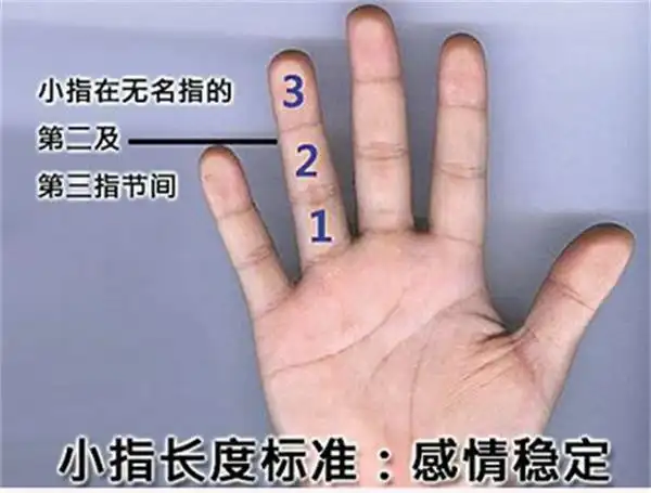 1988属什么_属1988年是什么命_属1988龙与属鸡的相配吗