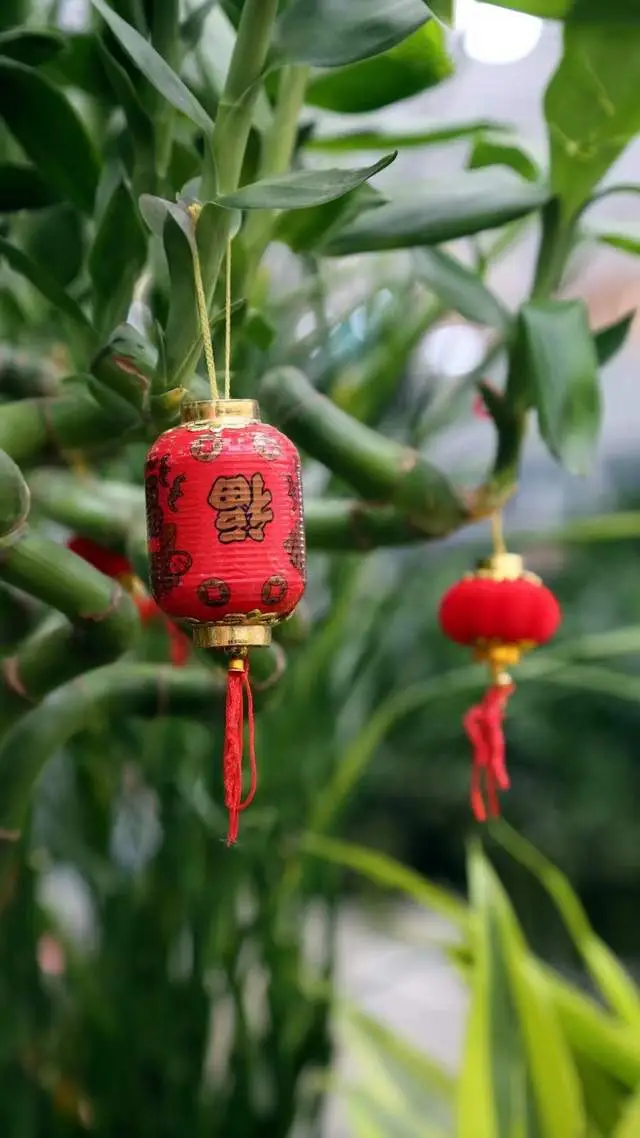 守岁的寓意和象征_守岁的寓意象征_寓意象征守岁的词语
