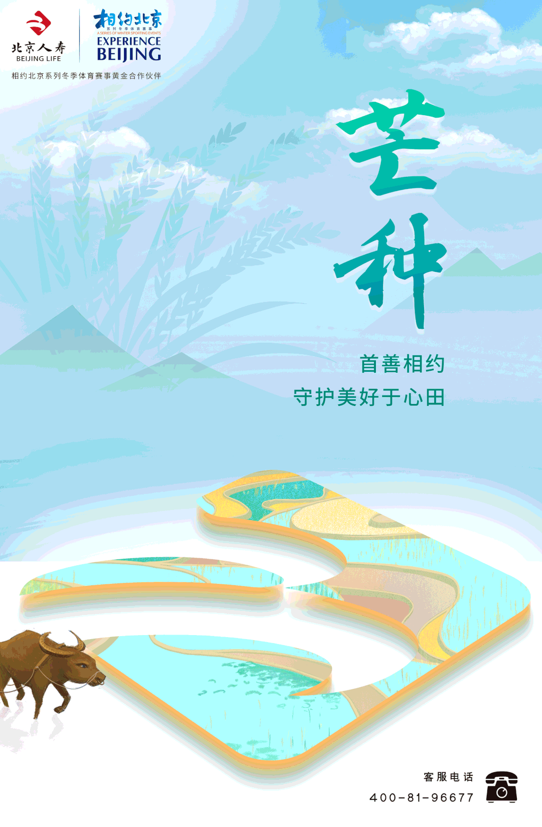 节气芒种读音_24节气芒种的由来_芒种节气的含义