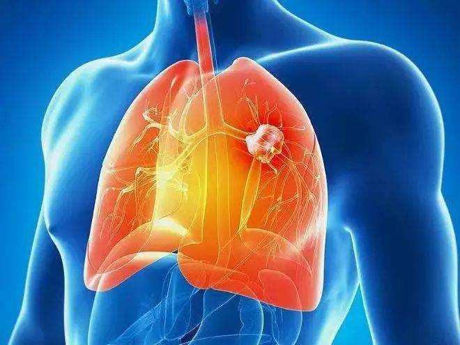 男性健康月的标志_男性健康的标准_10月28日男性健康日