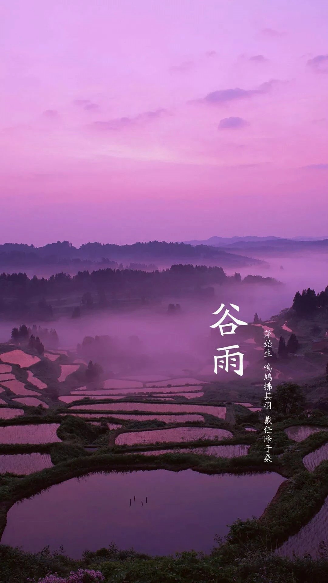 2021年谷雨是农历几月几日_谷雨是几月几号2020年_2023年谷雨是几月几日