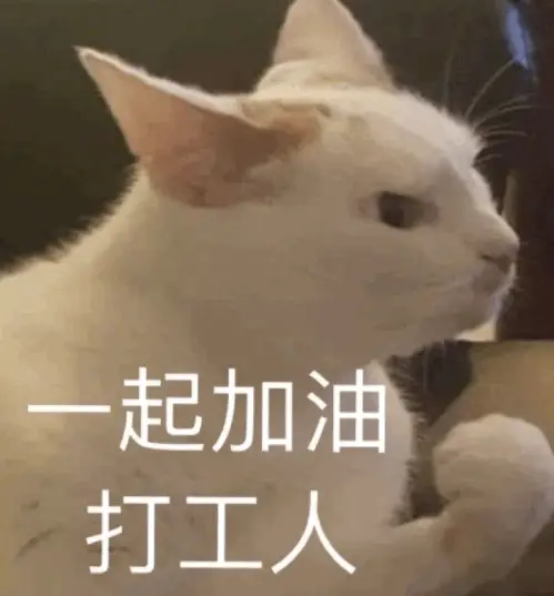 中考山东时间2023具体时间_2023中考时间山东_中考山东时间2023年时间表