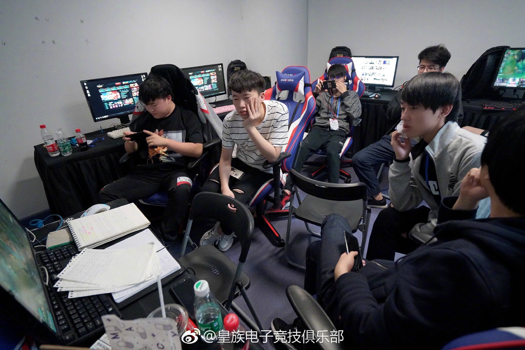 皇族电子竞技俱乐部_皇族电子竞技俱乐部logo_竞技皇族俱乐部电子版下载