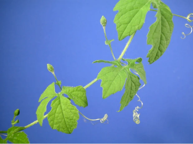 荒野求生游戏手机版_下载荒野求生游戏手机游戏_荒野求生游戏版