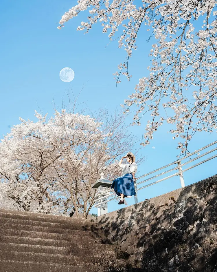 凉宫春日的惊愕是结局_凉宫春日的惊愕_凉宫春日的惊愕解析