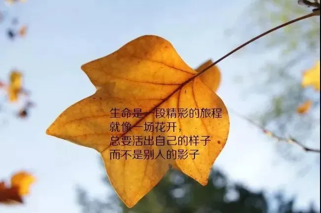 棕色尘埃_棕色尘埃browndust_棕色尘埃改名