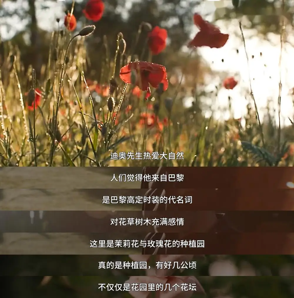 专业手机游戏广告_广告游戏软件_广告类游戏