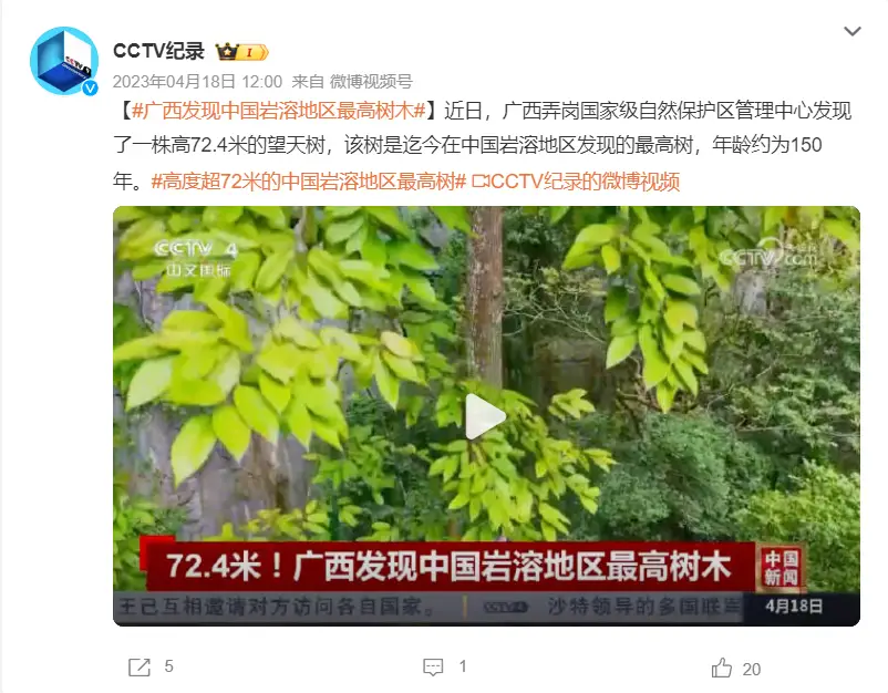 艺人女友手机游戏推荐_艺人女友手机游戏有哪些_艺人女友手机游戏